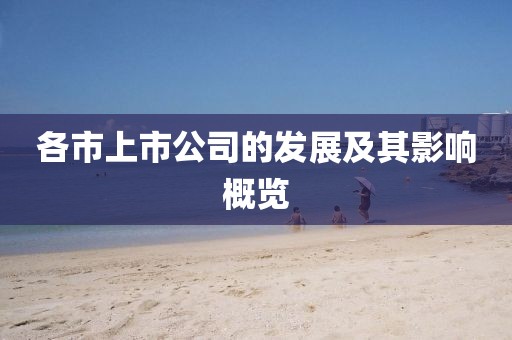 各市上市公司的發(fā)展及其影響概覽