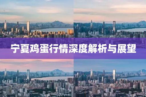 寧夏雞蛋行情深度解析與展望