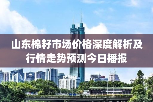 山東棉籽市場價格深度解析及行情走勢預(yù)測今日播報