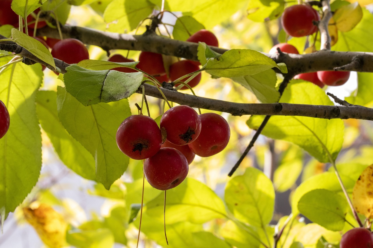 永春新聞最新動態(tài)報道速遞