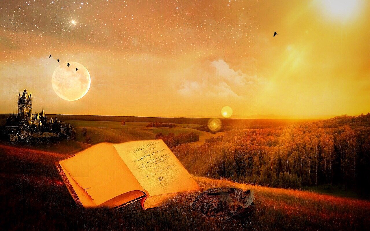 探尋修煉奧秘，道君最新章節(jié)揭秘