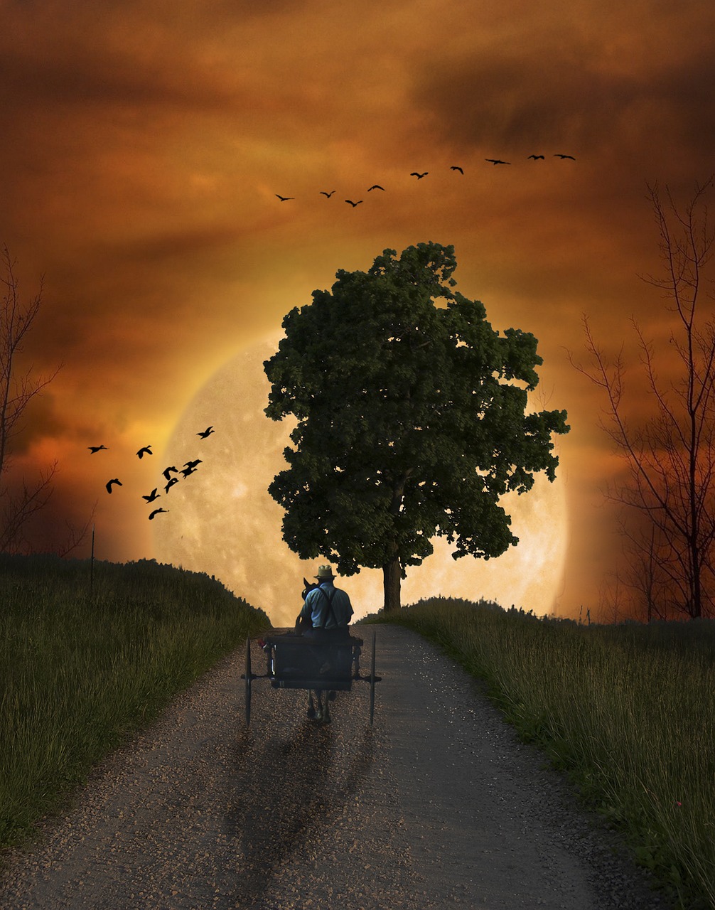 跑步比賽圖畫的魅力與啟示，一幅圖引發(fā)的深思