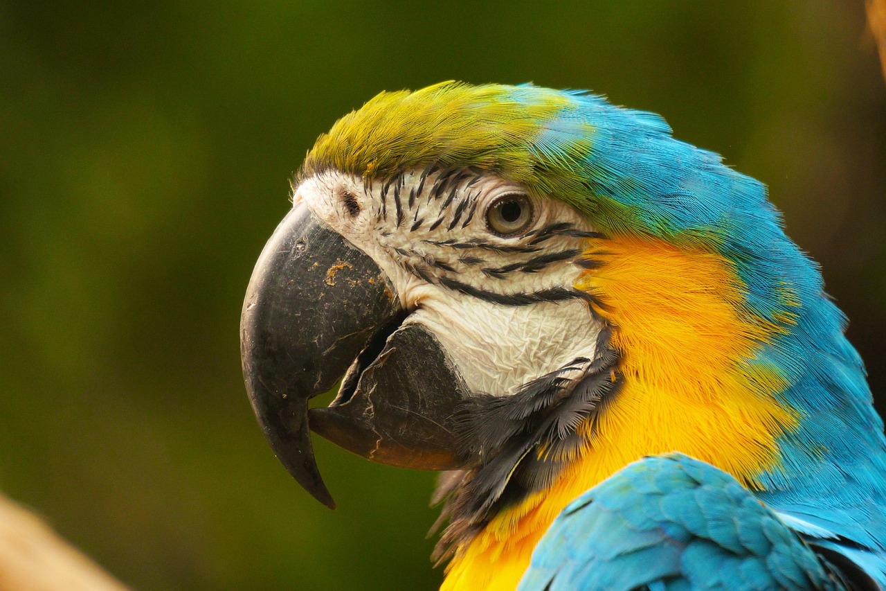 絕塵映雪 第30頁(yè)