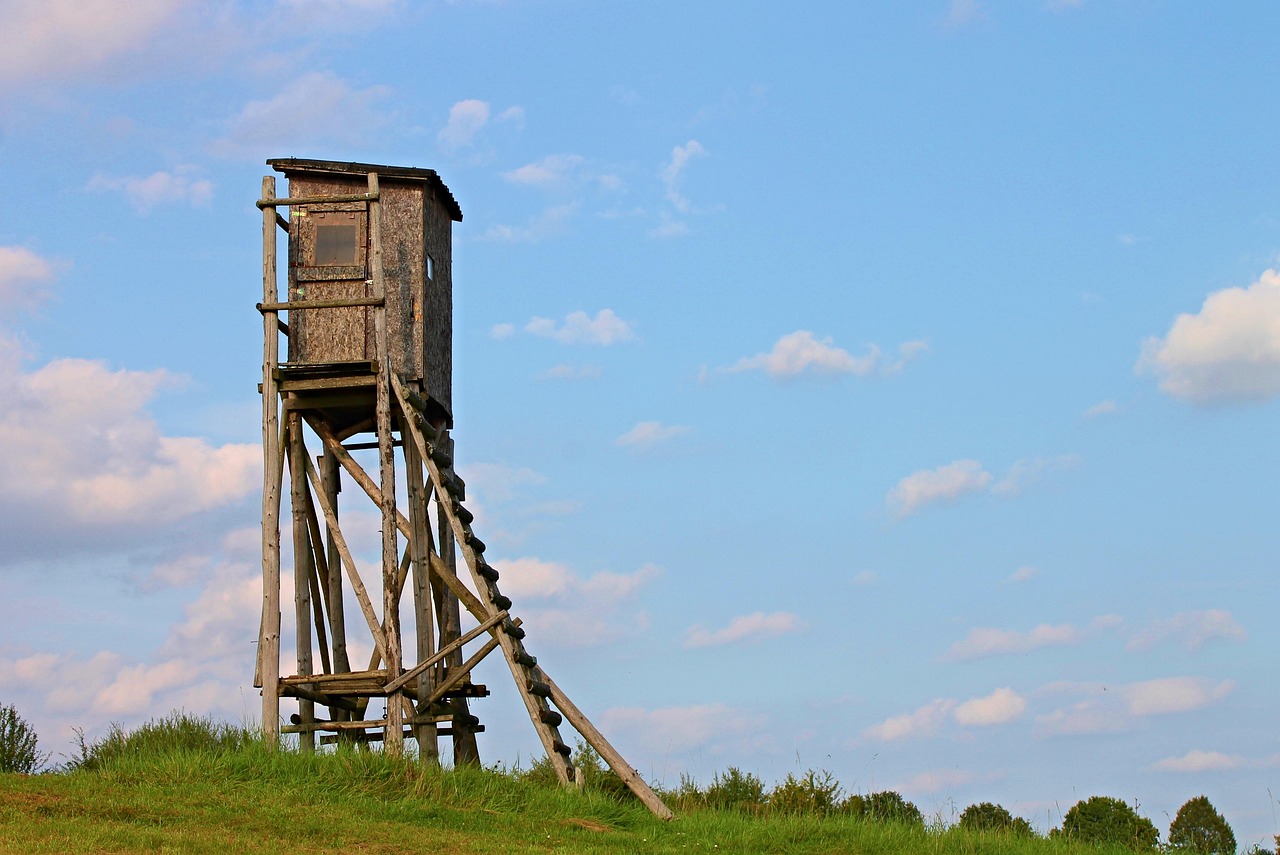 長沙白箬鋪鎮(zhèn)未來繁榮藍(lán)圖揭秘，最新規(guī)劃公布，展望美好發(fā)展遠(yuǎn)景