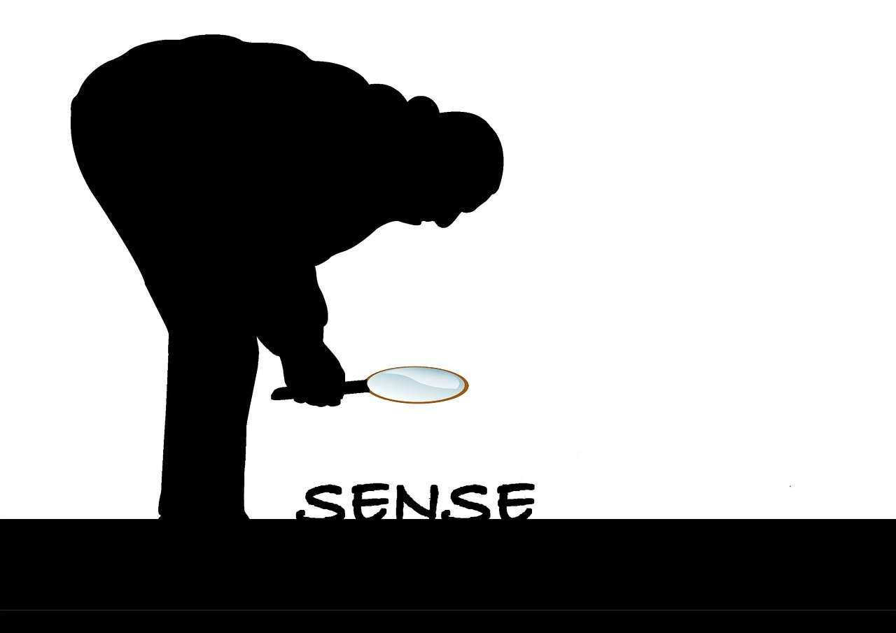 軟天空資訊速遞，探索前沿科技，洞悉行業(yè)動態(tài)。