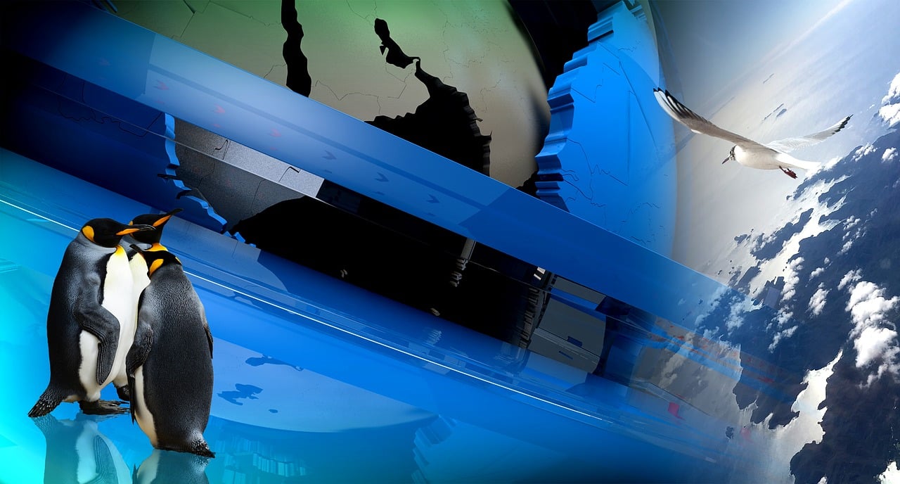 最新電影大全，探索電影的魅力世界