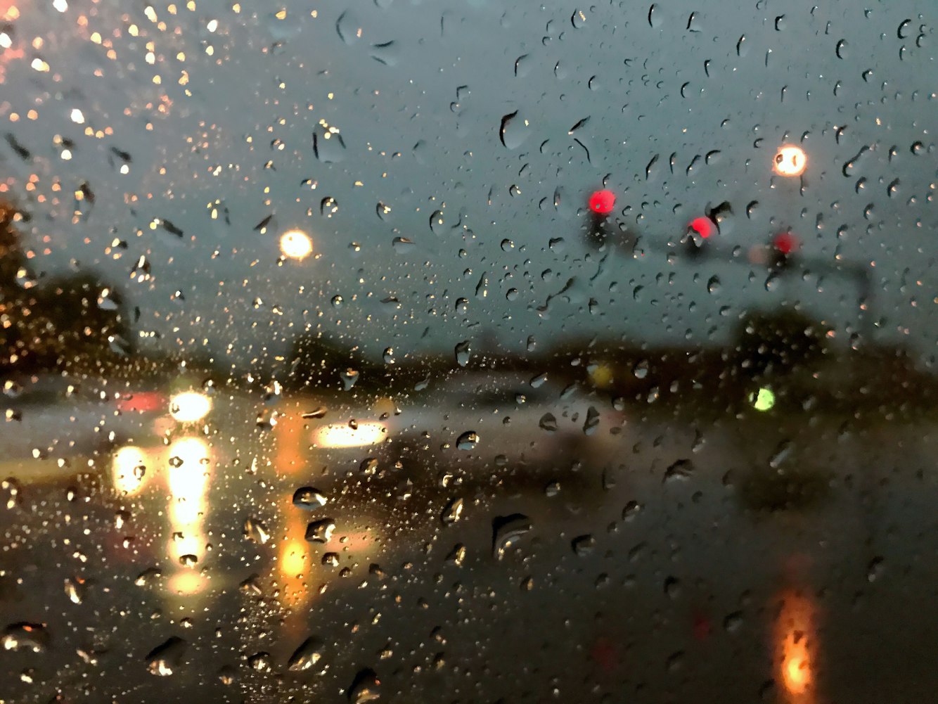 沙小僧最新動(dòng)態(tài)，探索未知，勇往直前