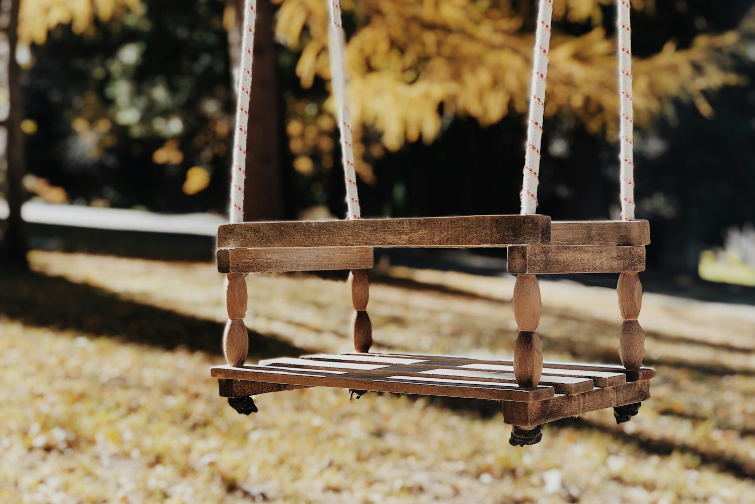 朗洞地區(qū)今日最新動(dòng)態(tài)概覽