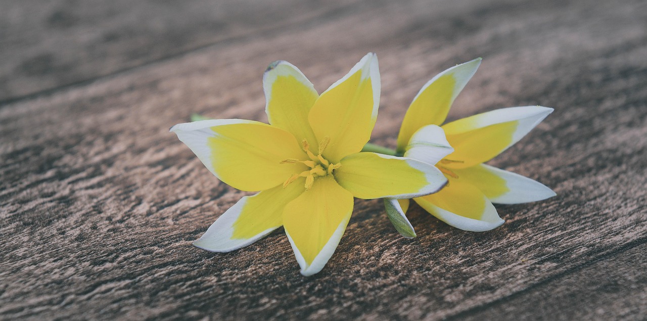 長樂最新資訊概覽，最新動(dòng)態(tài)一網(wǎng)打盡