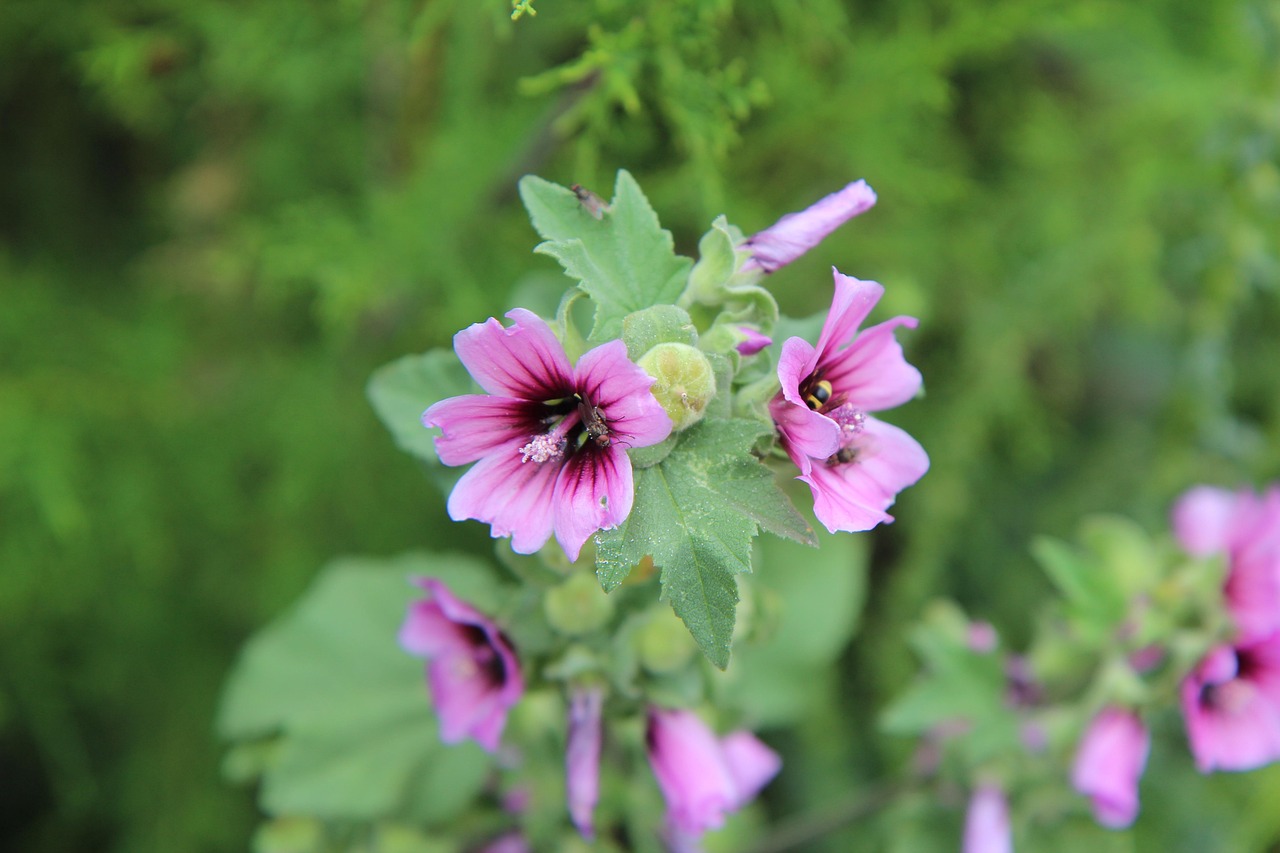 新聞資訊 第6頁