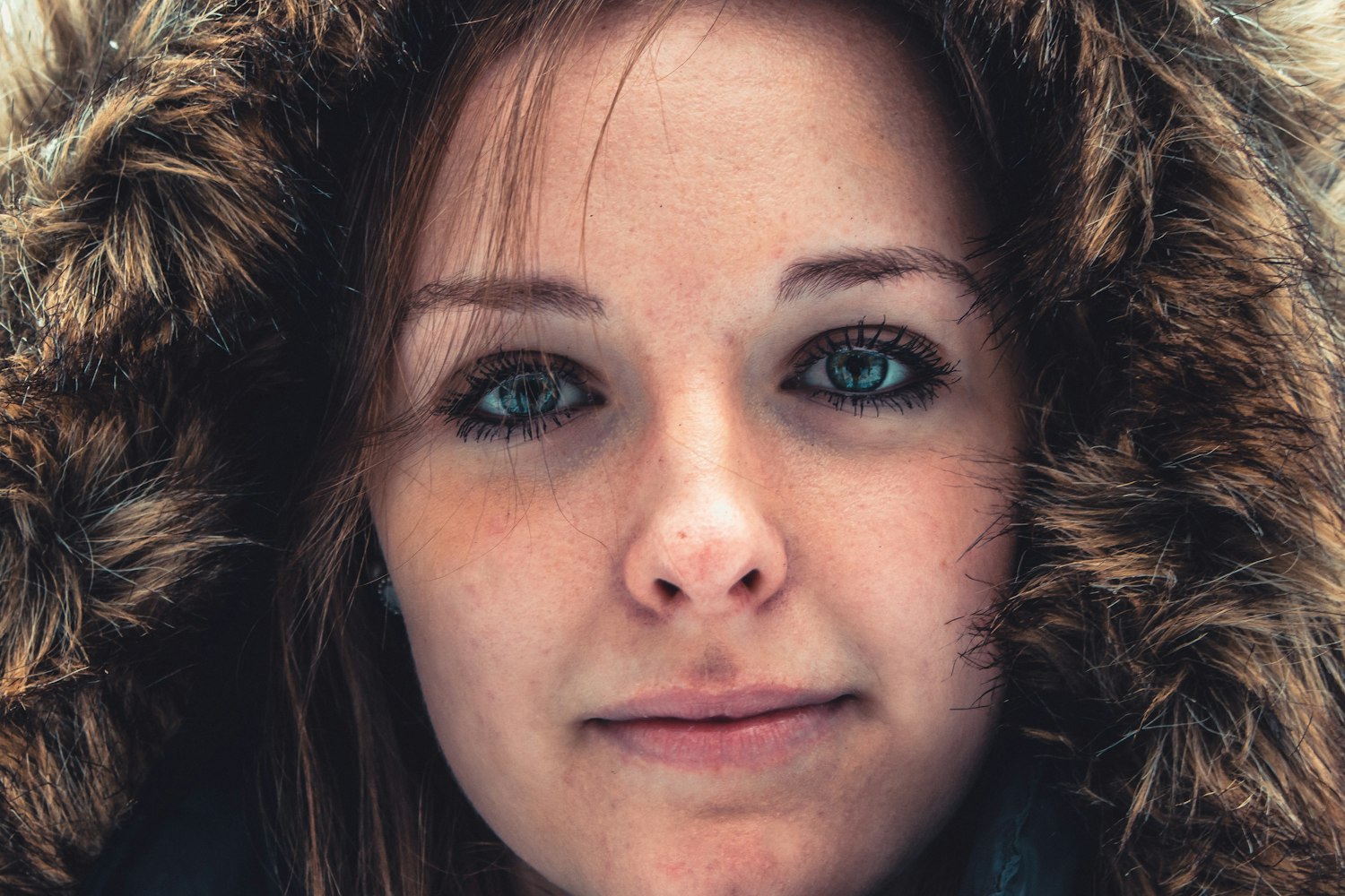 韓國美女明星璀璨瞬間，娛樂圈的閃耀之星圖片集